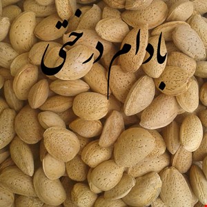 بادام سنگی