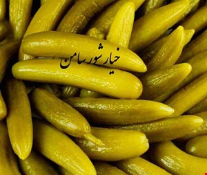 خیارشور سامن