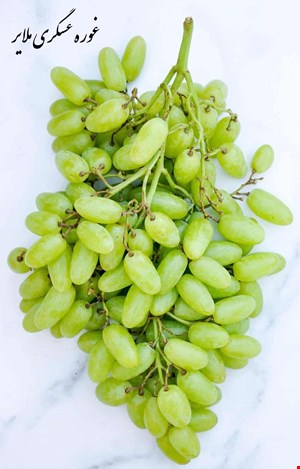 غوره عسگری ملایر
