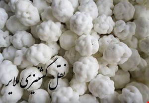 نقل گشنیزی ملایر