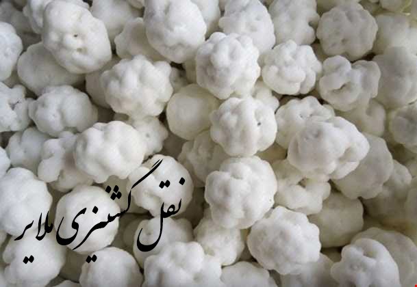 نقل گشنیزی ملایر
