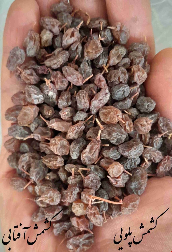 کشمش پلویی