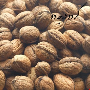 گردوی درجه دو