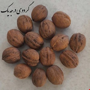 گردوی درجه یک