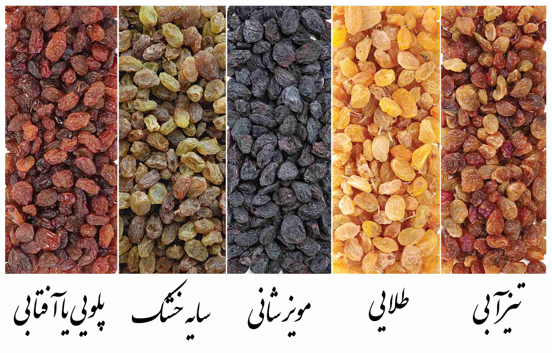 انواع کشمش
