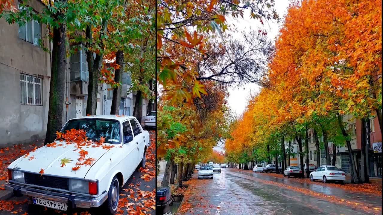 پاییز در ملایر؛ سمفونی رنگ‌ها و طعم‌ها