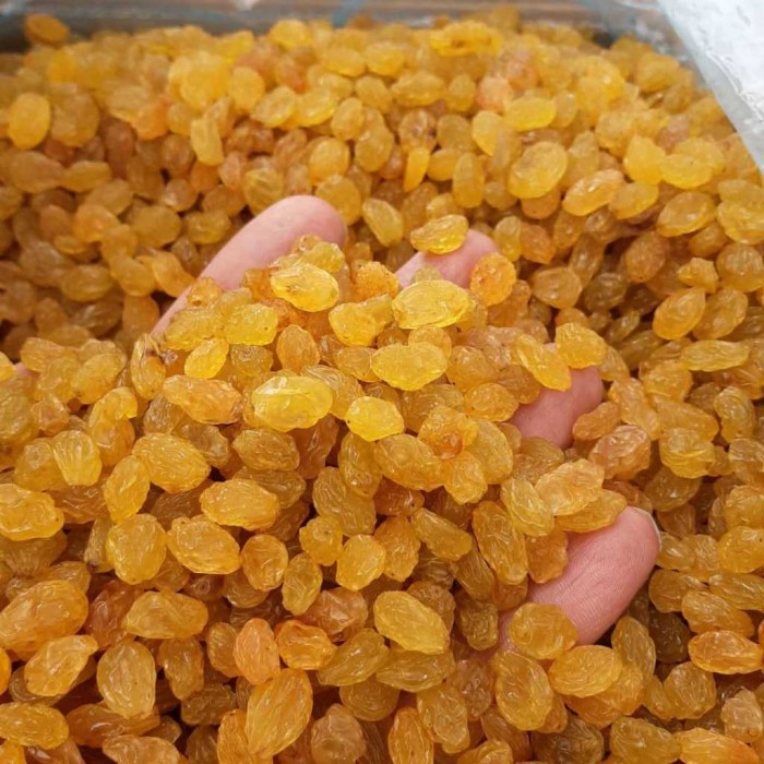 Malayer Raisins, a world heritage site