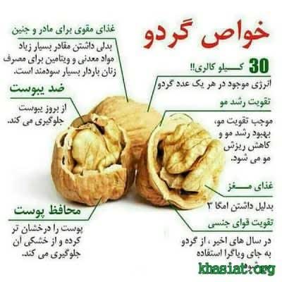  ۱۰۰ خاصیت شگفت‌انگیز گردو | از طب سنتی تا پزشکی مدرن