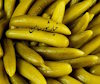 ملایر سوغات - بهترین خیار شور و ترشی‌جات خوشمزه سامن