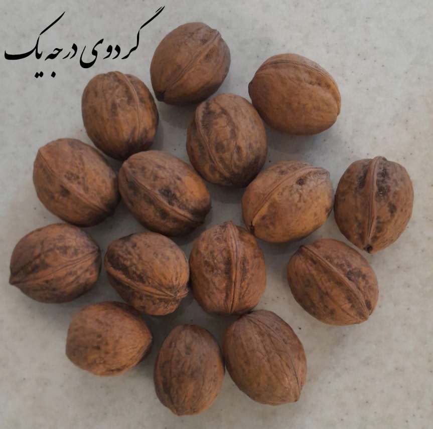 گردو (تویسرکان و ملایر)و خواص آن در طب سنتی و اسلامی - خرید گردو