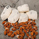 گز آردی نهاوند