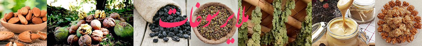 هدرهوشمند